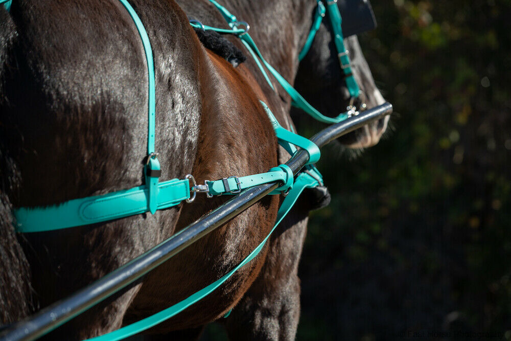 Horse Size Beginner Teal Harness Made From Beta Biothane